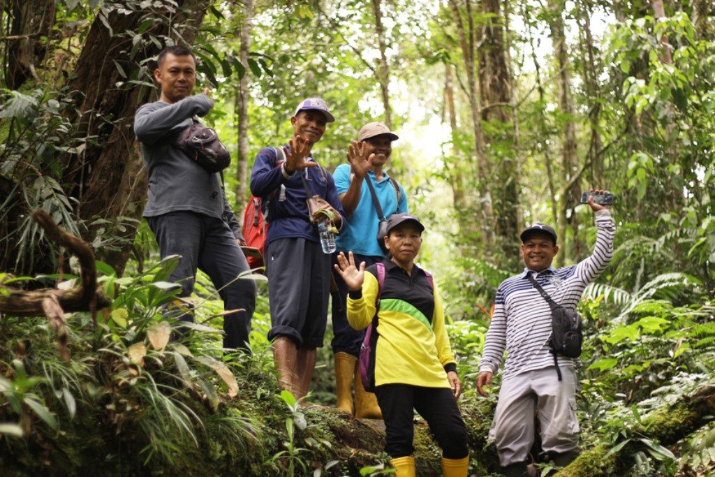 adopsi hutan