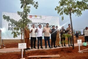 rumah subsidi